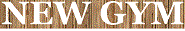 Фитнес-клуб «New Gym»